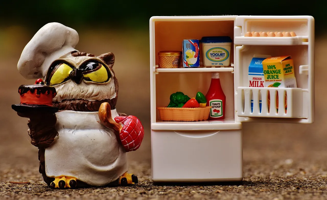 owl-1645310_1280.jpg